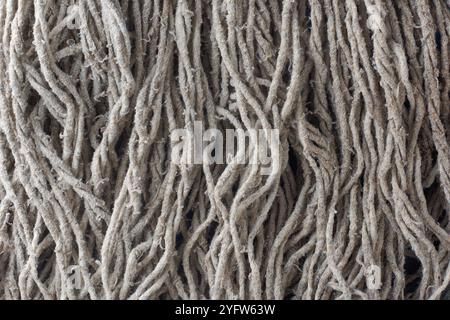 closeup macro view of cotton fibers of mopping device, abstract of densely packed soft and worn fibers background or backdrop in full frame Stock Photo