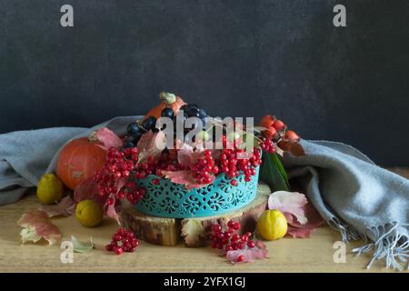 autumn still life, pumpkin, rowan berry, autumn leaves, rowan, rowan, maple leaves, rowan, berries on the background of a dark Stock Photo