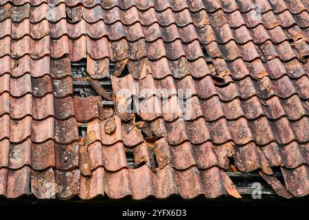Damage to the clay tile roof of a historic house with some roof tiles missing, broken roof tiles Stock Photo