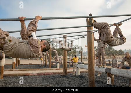 U.S. Marine Corps recruits with Fox Company, 2nd Recruit Training Battalion, conduct an obstacle course event after the two-kilometer introduction hike at Marine Corps Recruit Depot San Diego, California, Oct. 10, 2024. During training, recruits conduct a series of progressively longer hikes to physically and mentally condition them to create combat readiness for any necessary future operations as the world’s force in readiness.  (U.S. Marine Corps photo by Cpl. Sarah M. Grawcock) Stock Photo