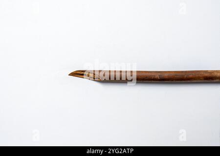 Calligraphy reeds isolated over white background. Reeds pen ink for ...