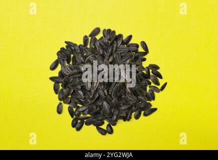 Whole black oil sunflower seeds food piled in center on yellow background. Stock Photo
