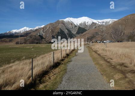 Gravel path through tussock grass on Castle Hill near Arthur's Pass in the South Island of New Zealand Stock Photo