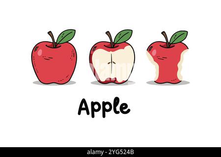 Set of Apple bitten hand drawn vector illustrations, easily editable file, apple eating steps isolated on white background concept. Stock Vector