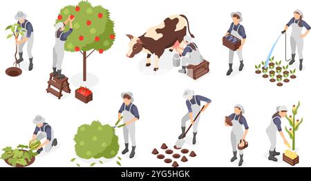 Isometric garden agriculture elements. Farmers collect harvest, fruits and vegetables. Workers with cow and chicken, farm animals, flawless vector set Stock Vector