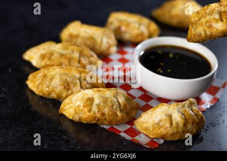 Fried Pork or Chicken Dumpling Stock Photo