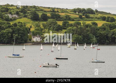 Glandore Harbour Yacht Club members sailing in West Cork, Ireland. Stock Photo