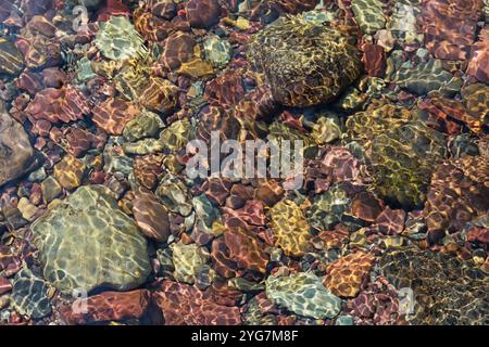 background image looking down through the clear water of Coal Creek in Glacier National Park with multicolored cobbles and pebbles Stock Photo