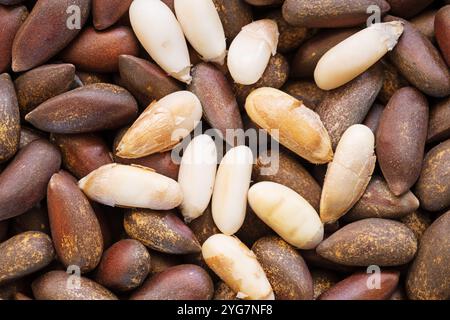 macro image of shelled and unshelled pinyon pine nuts Stock Photo