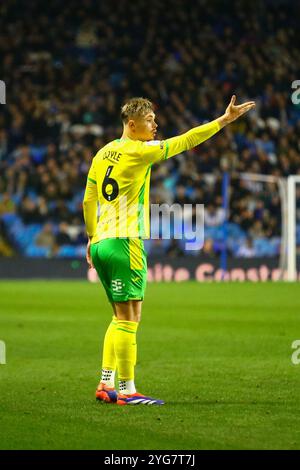 Hillsborough Stadium, Sheffield, England - 5th November 2024 Callum Doyle (6) of Norwich City - during the game Sheffield Wednesday v Norwich City, EFL Championship, 2024/25, Hillsborough Stadium, Sheffield, England - 5th November 2024  Credit: Arthur Haigh/WhiteRosePhotos/Alamy Live News Stock Photo