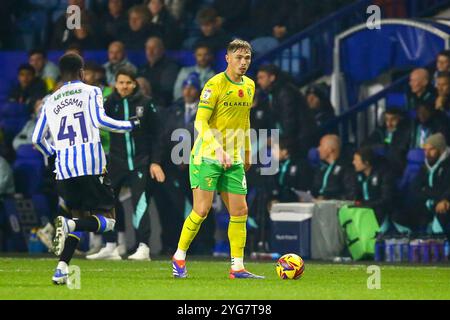 Hillsborough Stadium, Sheffield, England - 5th November 2024 Djeidi Gassama (41) of Sheffield Wednesday goes to close down Callum Doyle (6) of Norwich City - during the game Sheffield Wednesday v Norwich City, EFL Championship, 2024/25, Hillsborough Stadium, Sheffield, England - 5th November 2024  Credit: Arthur Haigh/WhiteRosePhotos/Alamy Live News Stock Photo