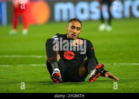 Belgrade, Serbia. 6th Nov, 2024. Raphinha reacts during the UEFA Champions League 2024/25 League Phase MD4 match between FK Crvena Zvezda and FC Barcelona at the Rajko Mitic Stadium on November 06, 2024. Credit: Dimitrije Vasiljevic/Alamy Live News Stock Photo