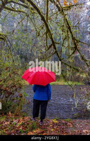 Woman with red umbrella along River's Edge Trail in Schafer State Park, Washington State, USA Stock Photo