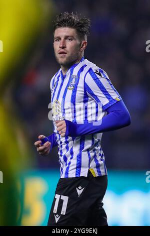 Sheffield Wednesday midfielder Josh Windass (11) during the Sheffield Wednesday FC v Norwich City FC skybet EFL Championship match at Hillsborough Stadium, Sheffield, England, United Kingdom on 5 November 2024 Credit: Every Second Media/Alamy Live News Stock Photo