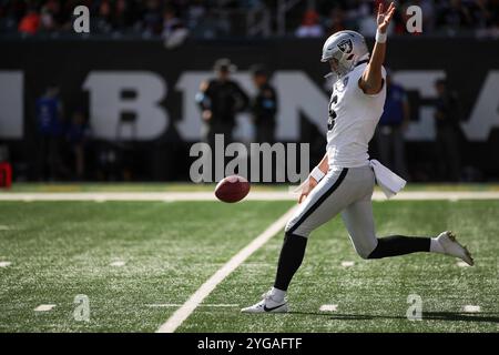 Cincinnati, Ohio, USA. 3rd Nov, 2024. Las Vegas Raiders punter AJ Cole kicks the ball during WEEK 9 of the NFL regular season between the Cincinnati Bengals and the Las Vegas Raiders in Cincinnati, Ohio. Kevin Schultz/CSM (Credit Image: © Kevin Schultz/Cal Sport Media). Credit: csm/Alamy Live News Stock Photo