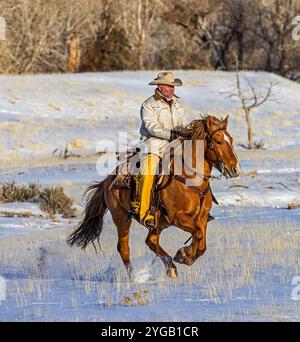 USA, Wyoming, Shell. Hideout Ranch, Big Horn Mountain Range Stock Photo