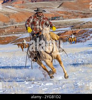 USA, Wyoming, Shell. Hideout Ranch, Big Horn Mountain Range Stock Photo