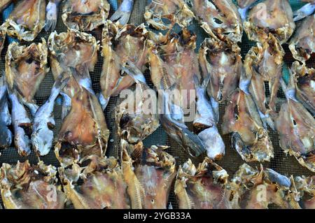 patterns of dried salted fish being dried in the sun Stock Photo