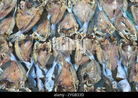 patterns of dried salted fish being dried in the sun Stock Photo