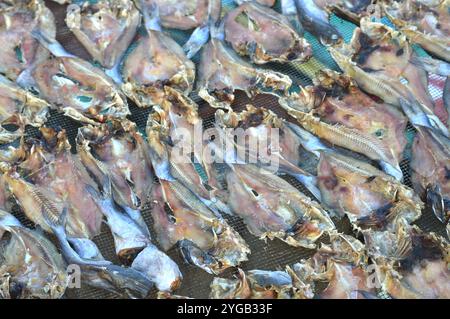 patterns of dried salted fish being dried in the sun Stock Photo