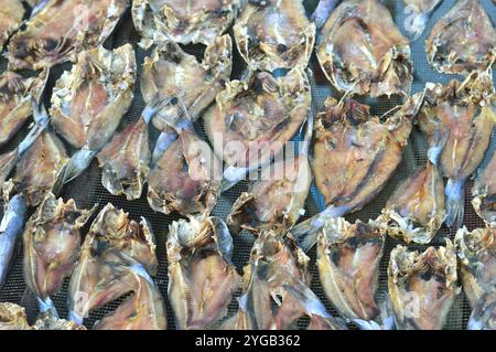 patterns of dried salted fish being dried in the sun Stock Photo