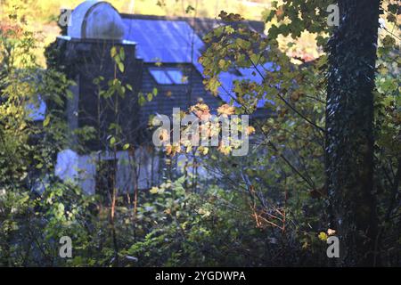 DEU, Germany, Iserlohn: The autumn colours enchant the forest in the Sauerland and also the people in the Maerkischer Kreis. The creative photographer Stock Photo