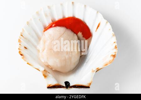 scallops on white. close up. cooking, fish market Stock Photo