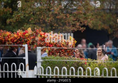 Scenes from Down Royal Racecourse on Day 2 of the Festival Of Racing weekend, featuring the Ladbrokes Champion Chase. Stock Photo