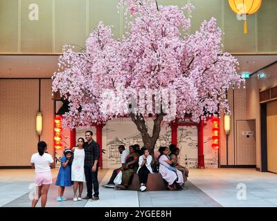 The image features a beautiful artificial cherry blossom tree inside Dubai Mall, where visitors are taking photos and relaxing. Stock Photo