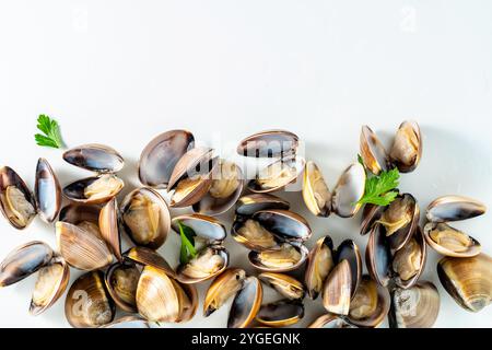 fresh raw Italian clams on white, high quality Stock Photo