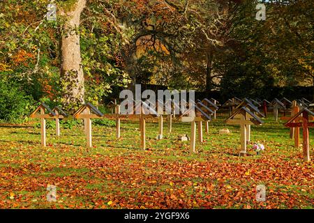 Pluscarden Abbey a Catholic Benedictine monastery near Elgin Scotland the cemetery covered with leaves in autumn sunshine Stock Photo