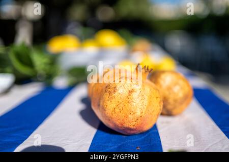A close up image of a table with pomegranates and lemons, set outdoors at a vibrant wedding celebration in Malaga, Spain. Captures the freshness and f Stock Photo