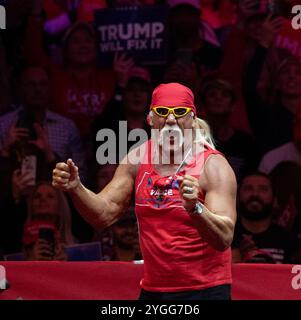 Hulk Hogan at Trump Rally MSQ Stock Photo - Alamy