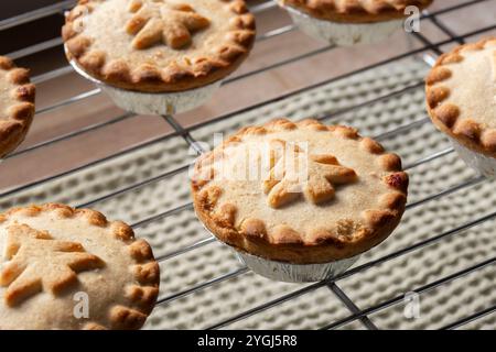 Homemade mince pies freshly baked on a stainless steel cooling rack. Christmas festive cooking concept. Stock Photo