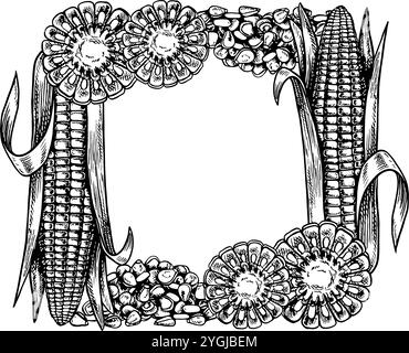 A frame with corn. Vector graphics depicting sliced corn cobs and a handful of grains. A black and white hand-drawn illustration. On a white backgroun Stock Vector