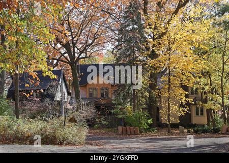 residential street with trees in brilliant fall colors Stock Photo