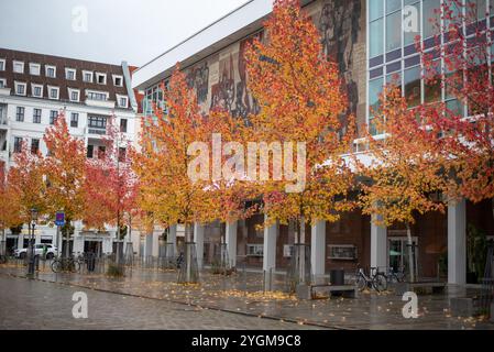 Autumn in Dresden showcases vibrant yellow leaves adorning the city's historic parks and streets, creating a picturesque and colorful seasonal landsca Stock Photo