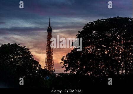 The Eiffel Tower in the sunset, behind some trees Stock Photo