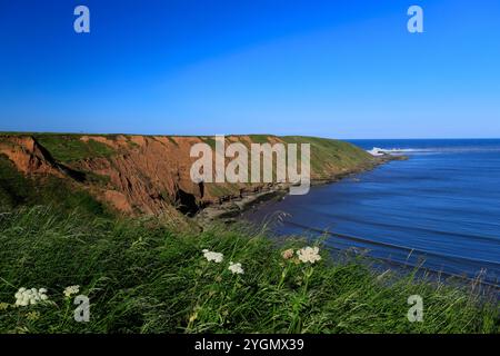 View over the Filey Brigg peninsular, Filey town, North Yorkshire, England, UK Stock Photo