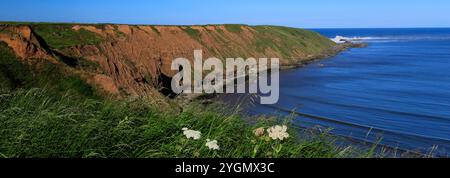 View over the Filey Brigg peninsular, Filey town, North Yorkshire, England, UK Stock Photo