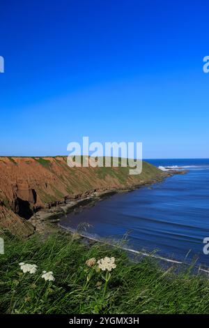 View over the Filey Brigg peninsular, Filey town, North Yorkshire, England, UK Stock Photo