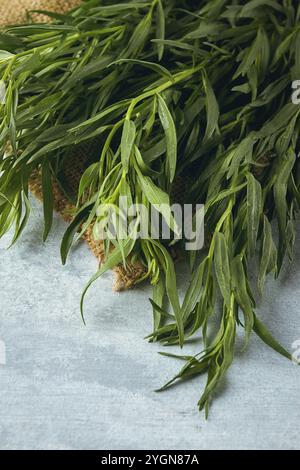 Fresh Tarragon, bunch, top view, close-up, no people Stock Photo