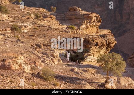 Petra, Jordan, November 3, 2022: Bedouin man walking in sandstone canyon, rocks formations landscape, Asia Stock Photo