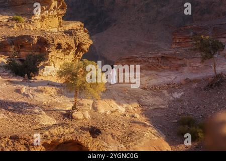 Petra, Jordan, November 3, 2022: Bedouin man walking in sandstone canyon, rocks formations landscape, Asia Stock Photo