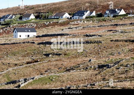 modern houses on the roadside beside autumn fields dry stone wall small field boundaries gweedore, county donegal, republic of ireland Stock Photo