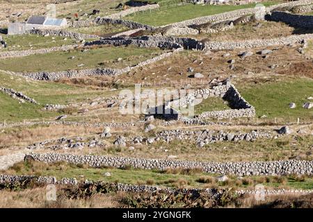 dry stone wall small field boundaries gweedore, county donegal, republic of ireland Stock Photo