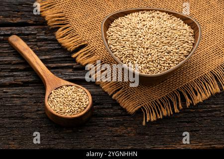 Organic and dried seeds for canary and parrot food - Phalaris canariensis. Stock Photo