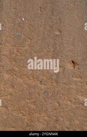 Texture of old rustic wall. Soft focus. Copy space Stock Photo - Alamy