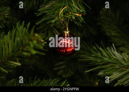 A shiny red Christmas ball hanging from a branch of a Christmas tree surrounded by lush green needles. Christmas photo Stock Photo