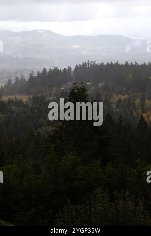 Trees and a distant cluster of houses on a hillside in Eugene, Oregon, under a hazy sky. Stock Photo